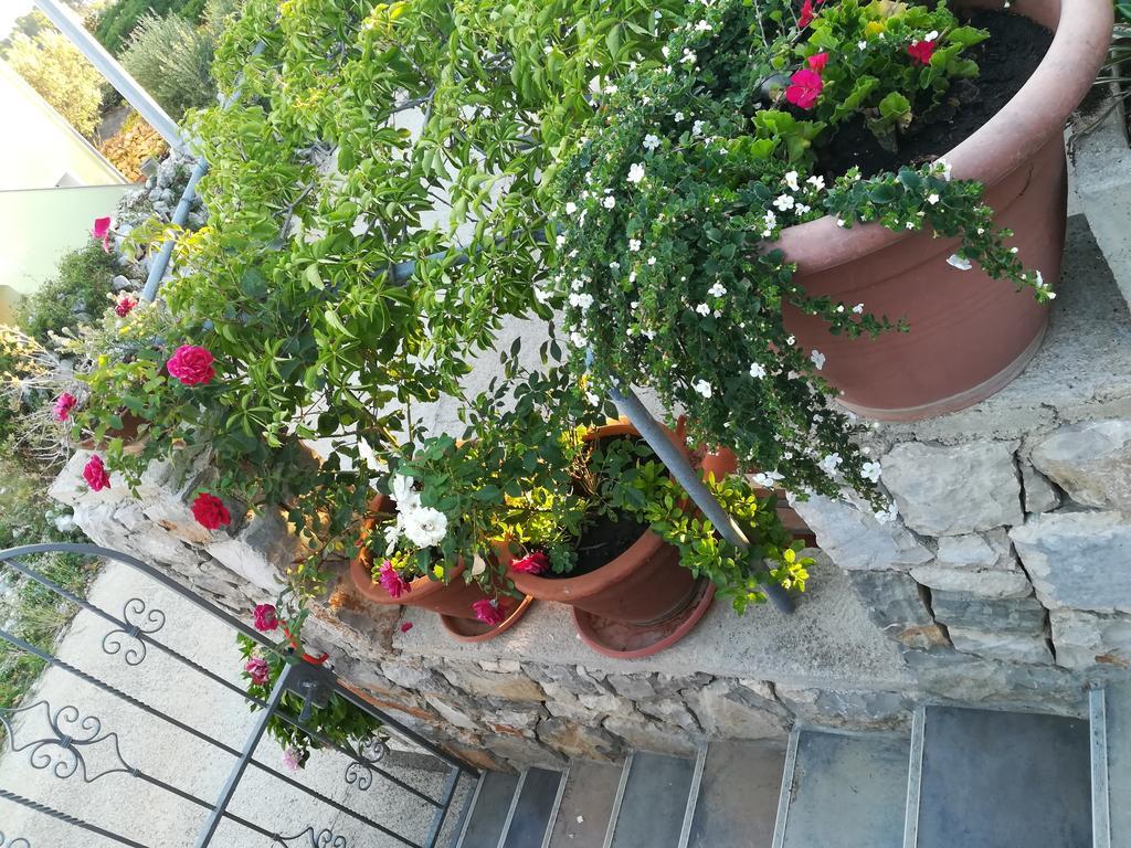 Apartment Neno - Terrace & Parking Велі-Лошинь Екстер'єр фото